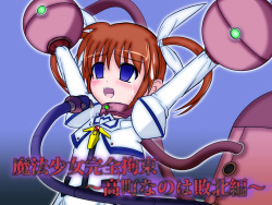 Mahou Shoujo Kanzen Kousoku ~Takamachi Nanoha Haiboku Hen~