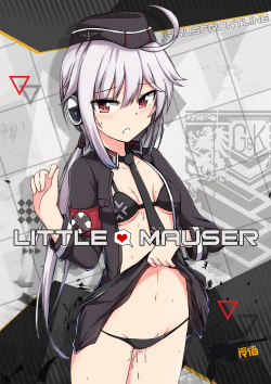 Little Mauser