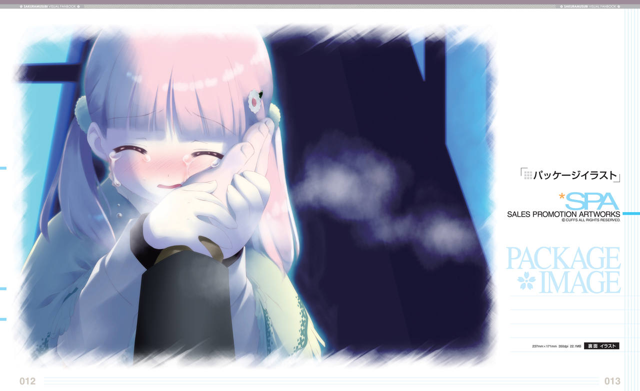 Sakura Musubi Visual Fanbook page 11 full