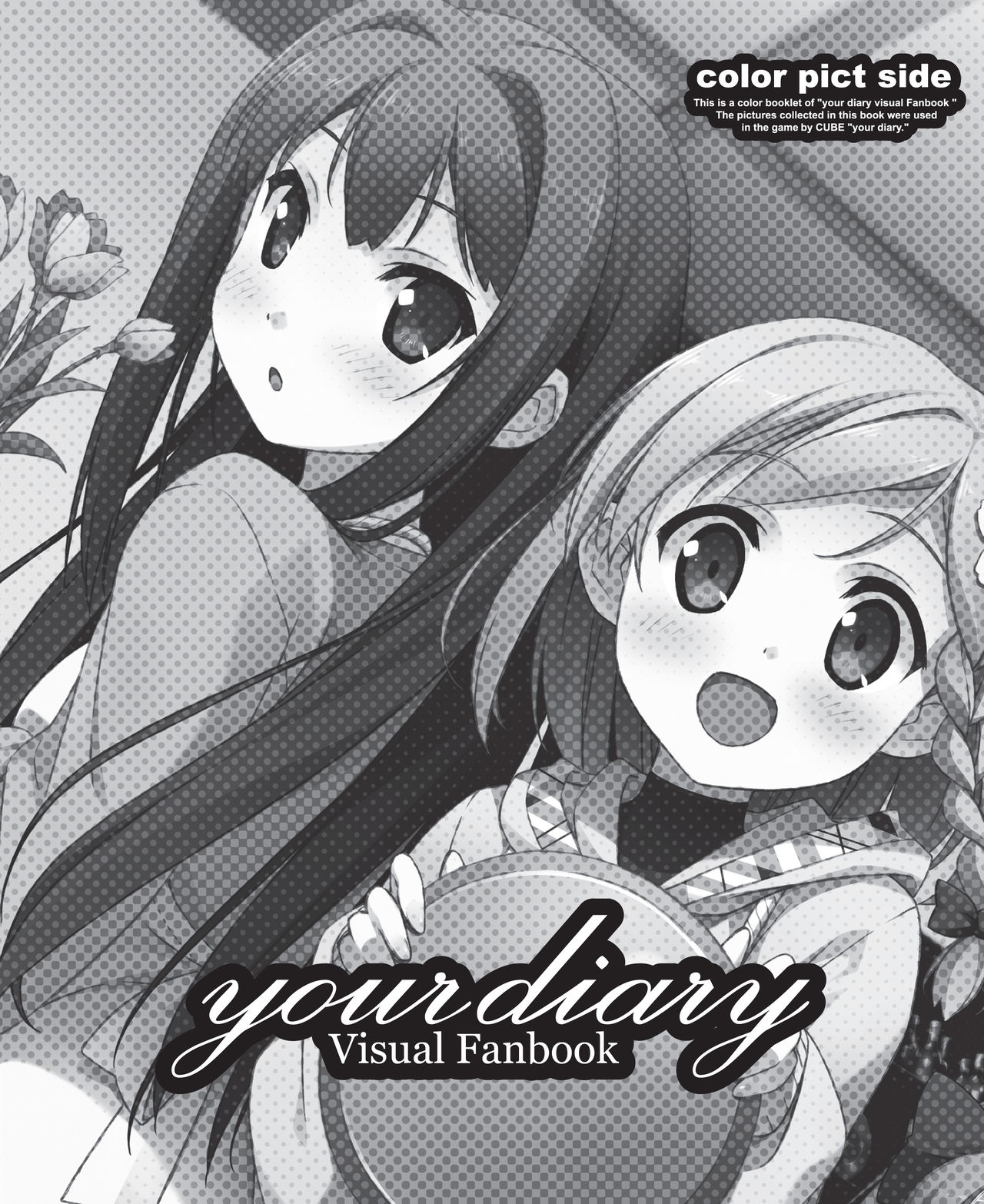 your diary カラー VFB 電子書籍 page 2 full