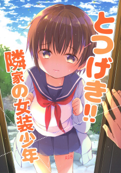 Totsugeki! Rinka no Josou Shounen